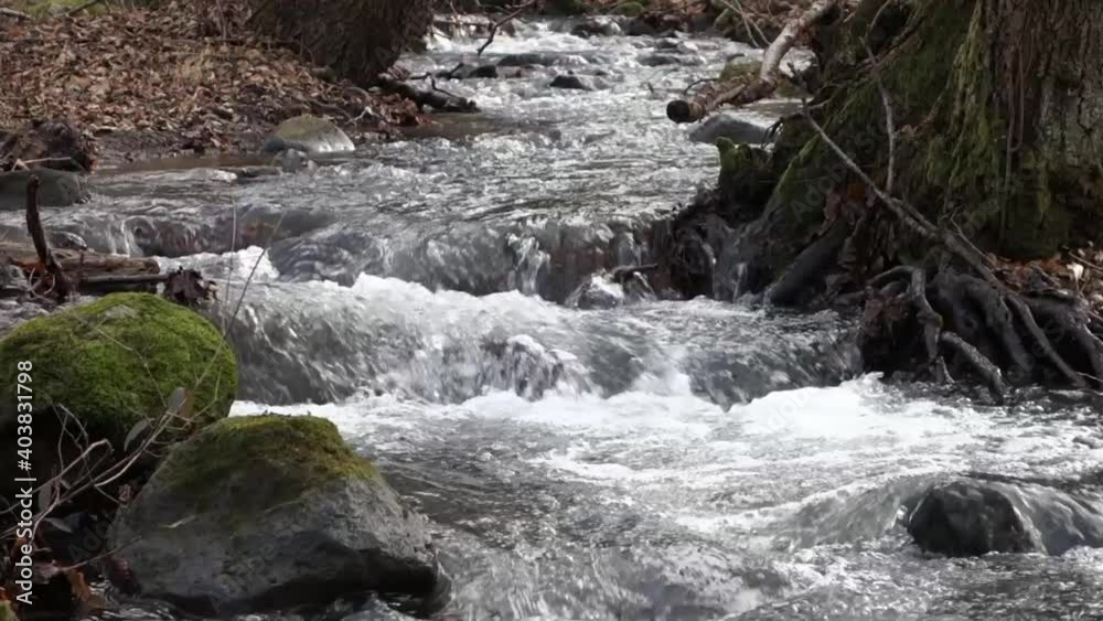 Flooded stream in the winter season Flooded stream in the winter season