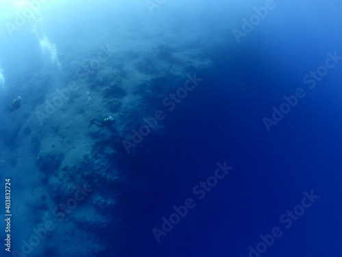 scuba divers exploring the reefs and rocks ocean scenery topography underwater landscape