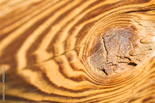 Asteinschluss in einem Holzbrett aus Zirbe.
Closeup von einem Ast.