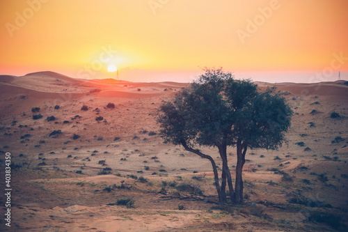 The Desert in Ras al Khaimah  United Arab Emirates  Asia