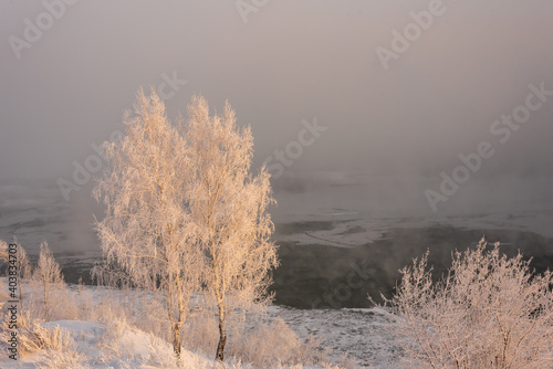 Frost-covered tree branches on the river bank in severe frost