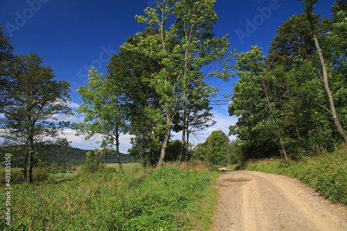 Fototapeta Naklejka Na Ścianę i Meble -  Landscape of Czeremcha - former and abandoned village in Low Beskids, Poland