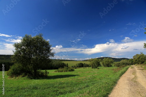 Fototapeta Naklejka Na Ścianę i Meble -  Landscape of Czeremcha - former and abandoned village in Low Beskids, Poland