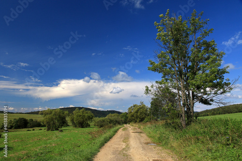 Fototapeta Naklejka Na Ścianę i Meble -  Landscape of Czeremcha - former and abandoned village in Low Beskids, Poland