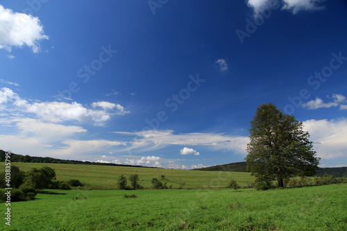 Fototapeta Naklejka Na Ścianę i Meble -  Landscape of Czeremcha - former and abandoned village in Low Beskids, Poland
