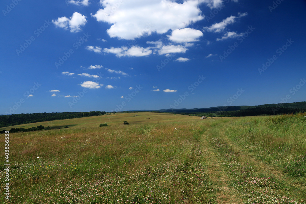 Landscape of Low Beskids near Czystogarb village, Poland