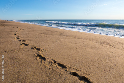 Footprints in the sand on pristine Whitecrest Beach on Cape Cod photo