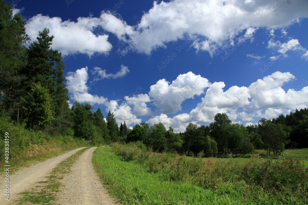 Fototapeta premium Landscape of Jasiel - former and abandoned village in Low Beskids, Poland