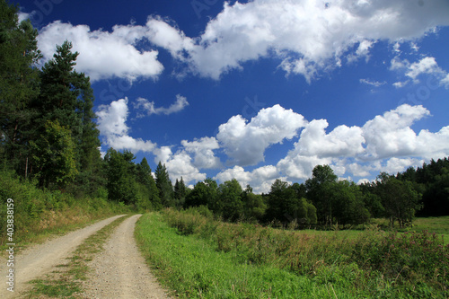 Fototapeta Naklejka Na Ścianę i Meble -  Landscape of Jasiel - former and abandoned village in Low Beskids, Poland