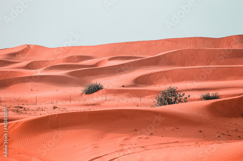 The Desert in Ras al Khaimah, United Arab Emirates, Asia photo