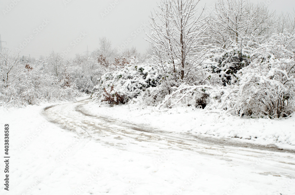 Fototapeta premium snow covered road in winter