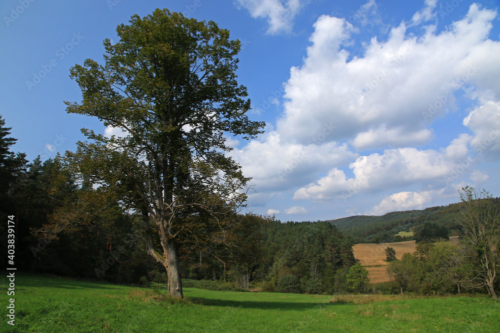 Landscape of Jawornik former and abandoned village in Low Beskids, Poland Landscape of Jawornik former and abandoned village in Low Beskids, Poland