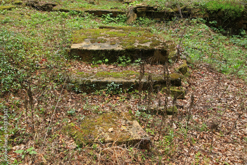 Fototapeta Naklejka Na Ścianę i Meble -  Ruins of the orthodox  church in Jawornik former and abandoned village in Low Beskids, Poland