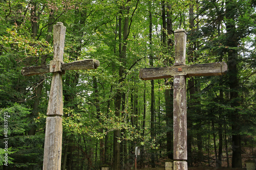 Fototapeta Naklejka Na Ścianę i Meble -  Wooden orthodox cross  in Jawornik former and abandoned village in Low Beskids, Poland