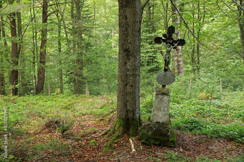 Fototapeta Naklejka Na Ścianę i Meble -  Old cemetery with many vampire burial in Jawornik - former and abandoned village in Low Beskids, Poland