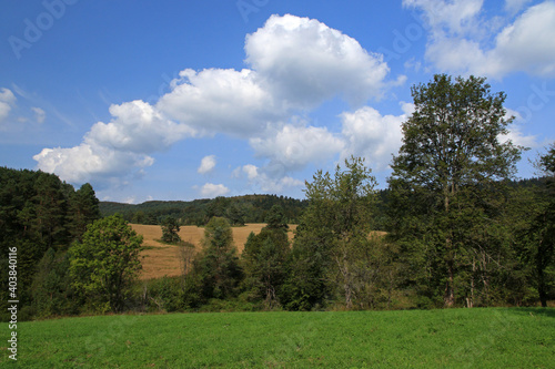 Fototapeta Naklejka Na Ścianę i Meble -  Landscape of Jawornik former and abandoned village in Low Beskids, Poland