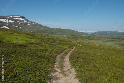 Single track trail of Padjelantaleden Trail though high mountain terrain north of Duottar in Padjelanta national park, Lapland, Sweden photo