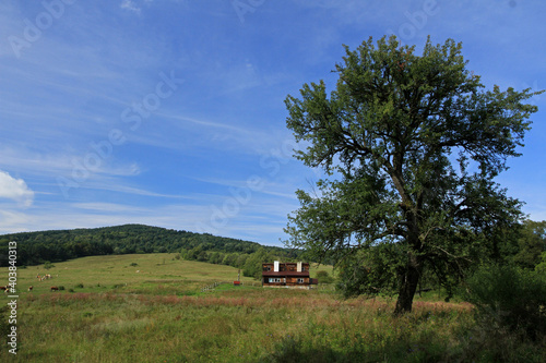 Fototapeta Naklejka Na Ścianę i Meble -  Polany Surowiczne - former and abandoned village in Low Beskids, Poland