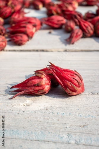 Closeup of Hibiscus Sabdariffa Fruit or Roselle Fruit in Vertical Orientation