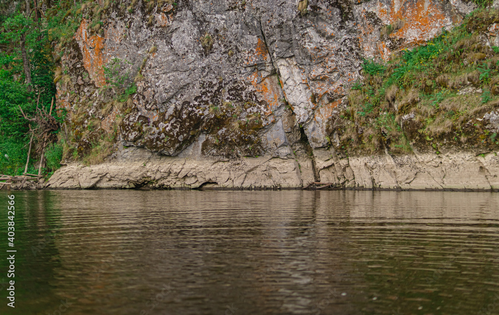 Fototapeta premium river in the forest