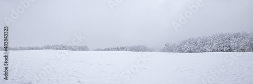 snow covered trees in winter - landscape of winter forest © agrus