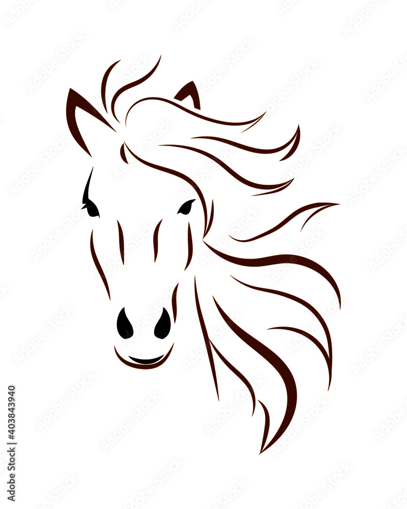Fototapeta premium Horse head with mane on white background. Line drawing in black and brown.