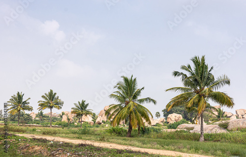 Hampi, Karnataka, India - November 5, 2013: Lakshmi Narasimha Temple. Landscape with palm trees and brown rock boulders under blue sky with green foliage and grass up front.
