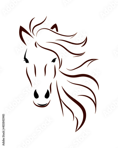 Horse head with mane on white background. Line drawing in black and brown.