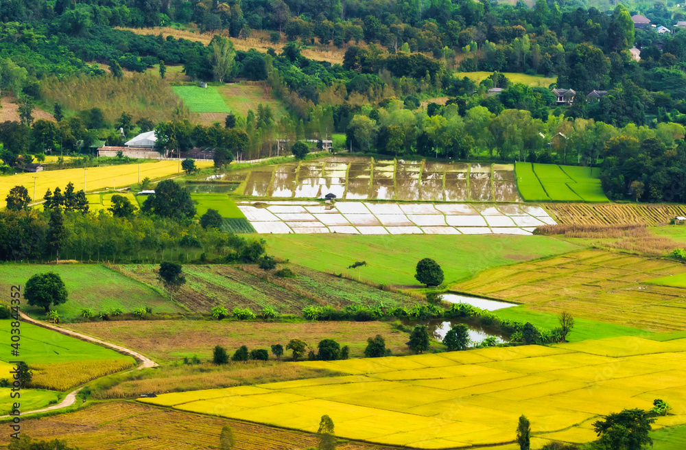 Beautiful bird's-eye view of rice fields and agricultural areas in Northern Thailand. Beautiful bird's-eye view of rice fields and agricultural areas in Northern Thailand.