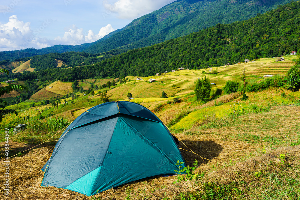 Tourist tent camping on the hill beneath the mountains under dramatic sky and golden terrace fields view in Chiangmai , northern of Thailand.