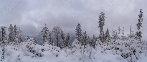 Winter im Schwarzwald am Herzogenhorn © Volker Loche