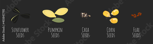 Seeds vector collection with sunflower, pumpkin, chia, corn, flax seed bean flat set. Nature health vegeterian food organic design.