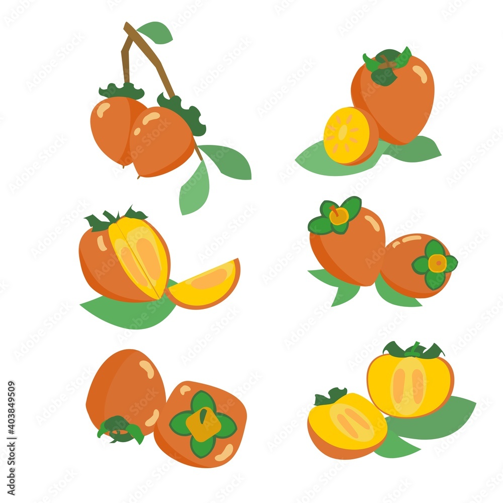 Collection of persimmon icons in orange and yellow colors Set of flat vector ilustrations Collection of persimmon icons in orange and yellow colors Set of flat vector ilustrations