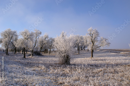 Wallpaper Mural Winterlandschaft vor Ufhoven Torontodigital.ca