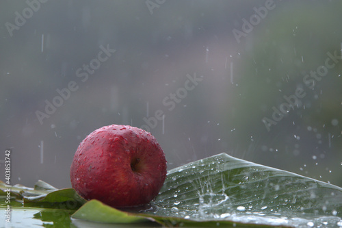 Closeup shot of fresh red apple in the rain on a banana leaf photo