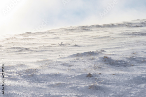 A mountain slope covered with a layer of snow during strong winds. Trapped in motion.