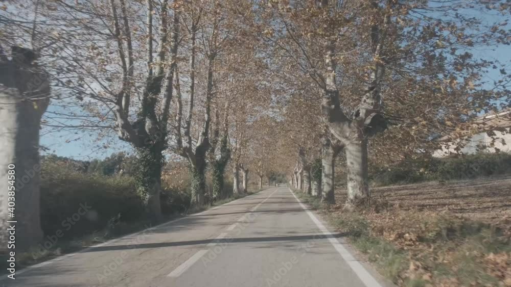 Driving the car on a secondary road with trees with yellow leaves on both sides of a road in Spain Driving the car on a secondary road with trees with yellow leaves on both sides of a road in Spain