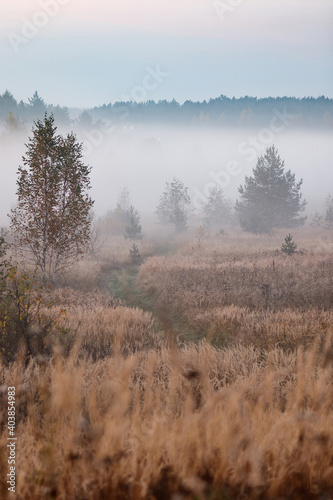 Dawn in the village of Dievo-Gorodishche, Yaroslavl region, Russia.