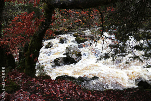 The Hermitage site on the banks of the River Braan in Craigvinean Forest, Scotland photo