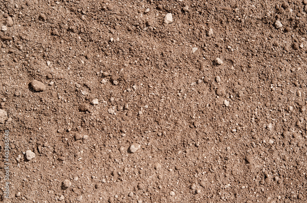 Part of a terrain with fertile soil, illuminated by the sun Part of a terrain with fertile soil, illuminated by the sun