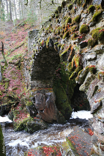 The Hermitage site on the banks of the River Braan in Craigvinean Forest, Scotland photo