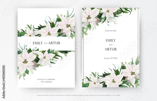 Classy winter season wedding floral invite, invitation, greeting card editable vector art template set. White Poinsettia flower, Christmas spruce tree, Eucalyptus greenery leaves, wreath bouquet frame