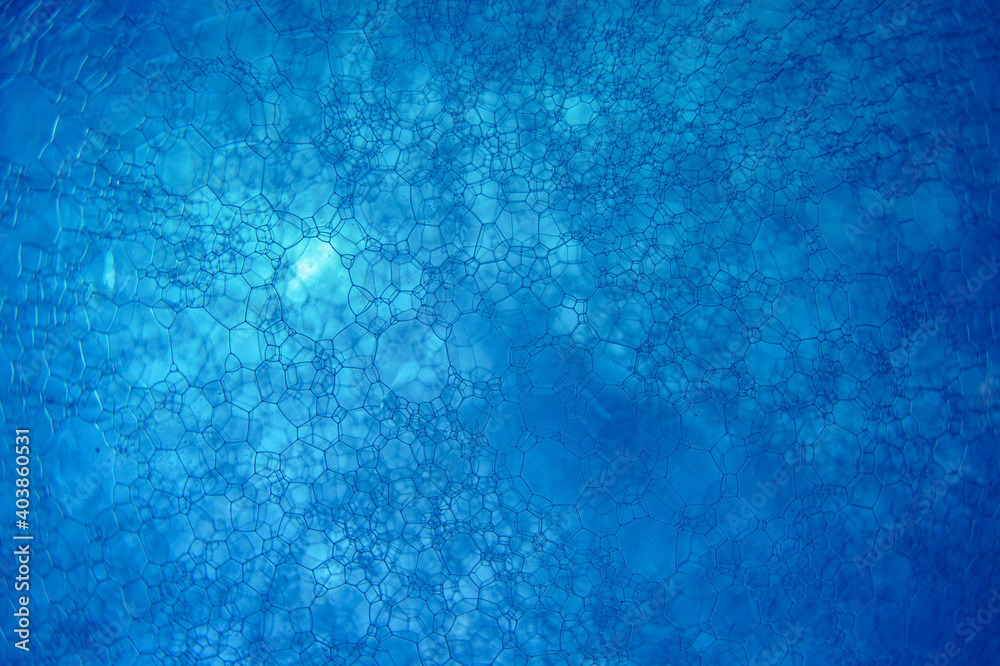 bubble foam cool tone background bubble foam cool tone background