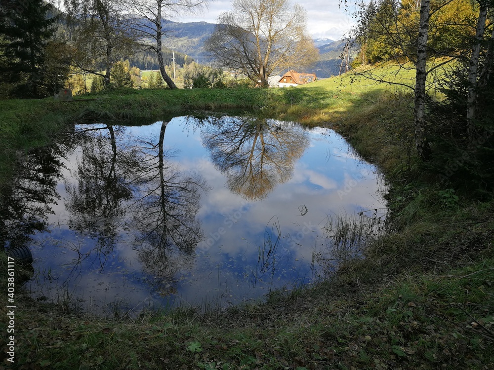 Fototapeta premium romantischer Teich