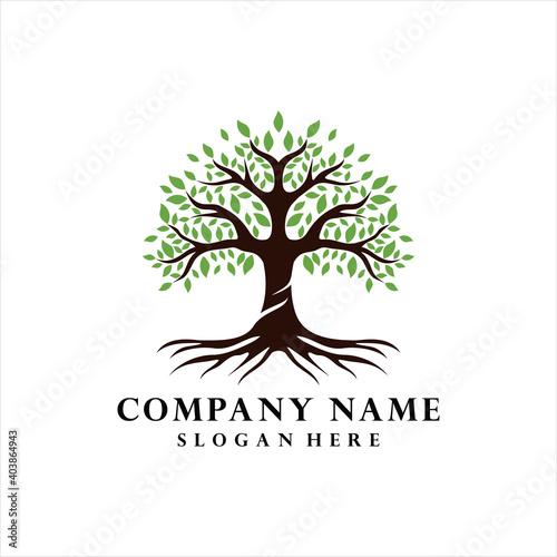 tree logo inspiration.modern design.vector illustration concept, Green tree vector logo design template. Plant, nature and ecology.