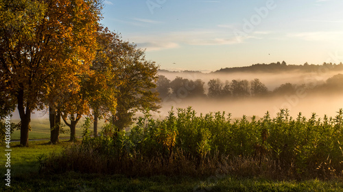 Herbstliche Morgenstimmung, Notzingen, Baden-Württemberg