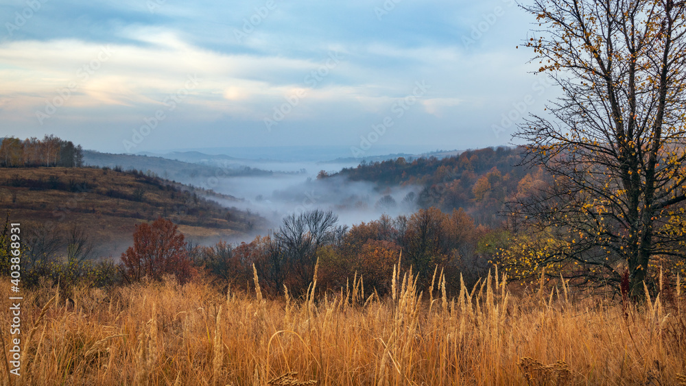 Fog creeping in the hollow between the mountains Fog creeping in the hollow between the mountains