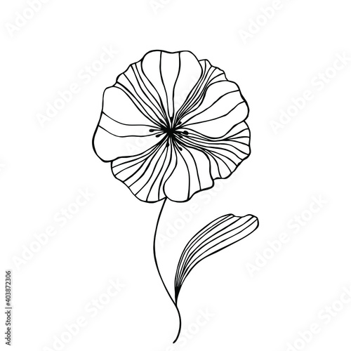 Decorative flower. Vector stock illustration eps10. Hand drawing  outline.