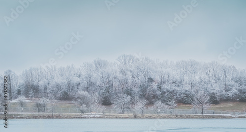 Wallpaper Mural View of Missouri River and its bluffs on cold winter day; trees on river bank covered with snow and frost Torontodigital.ca