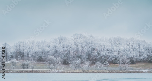 View of Missouri River and its bluffs on cold winter day; trees on river bank covered with snow and frost